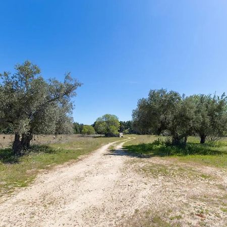 Finca El Palomar De La Vina Madryt Zewnętrze zdjęcie