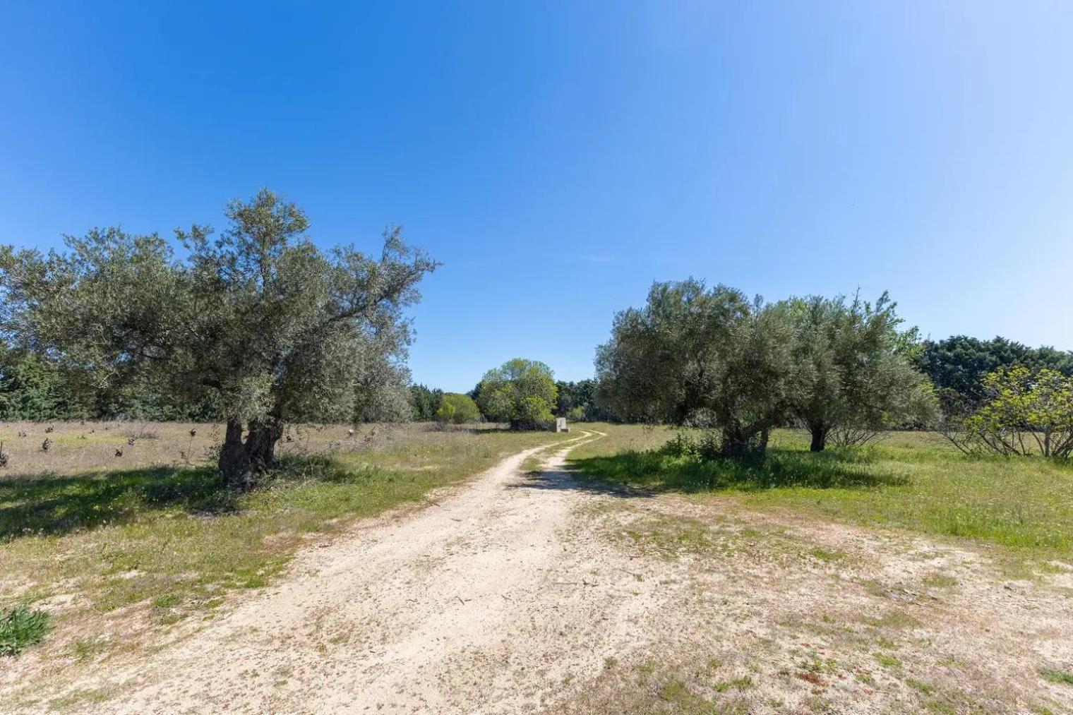 Finca El Palomar De La Vina Madryt Zewnętrze zdjęcie